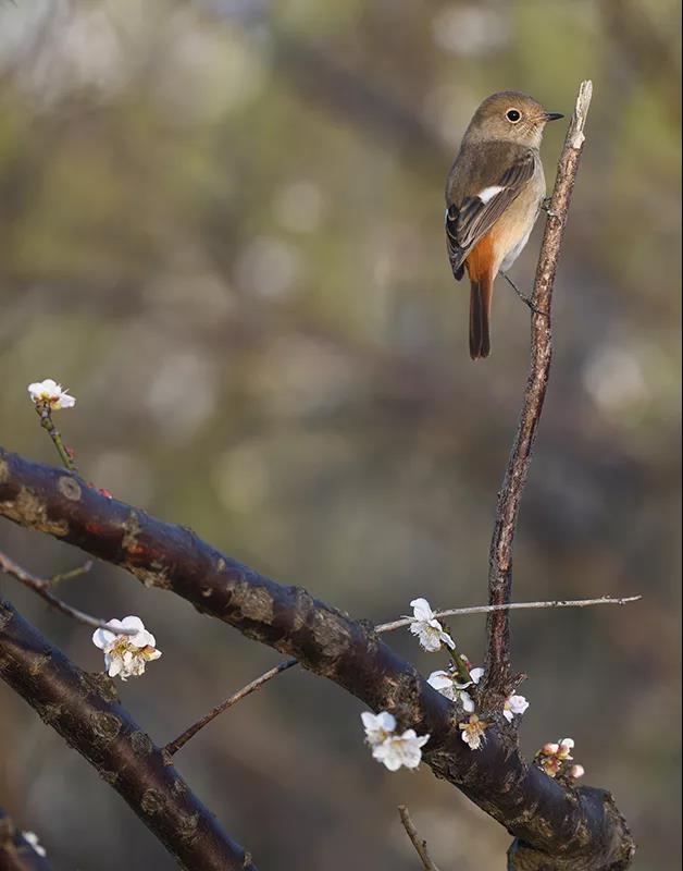 微信圖片_20180314150140.jpg 微信圖片_20180314150140.jpg