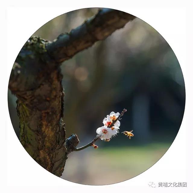 微信圖片_20180314150257.jpg 微信圖片_20180314150257.jpg