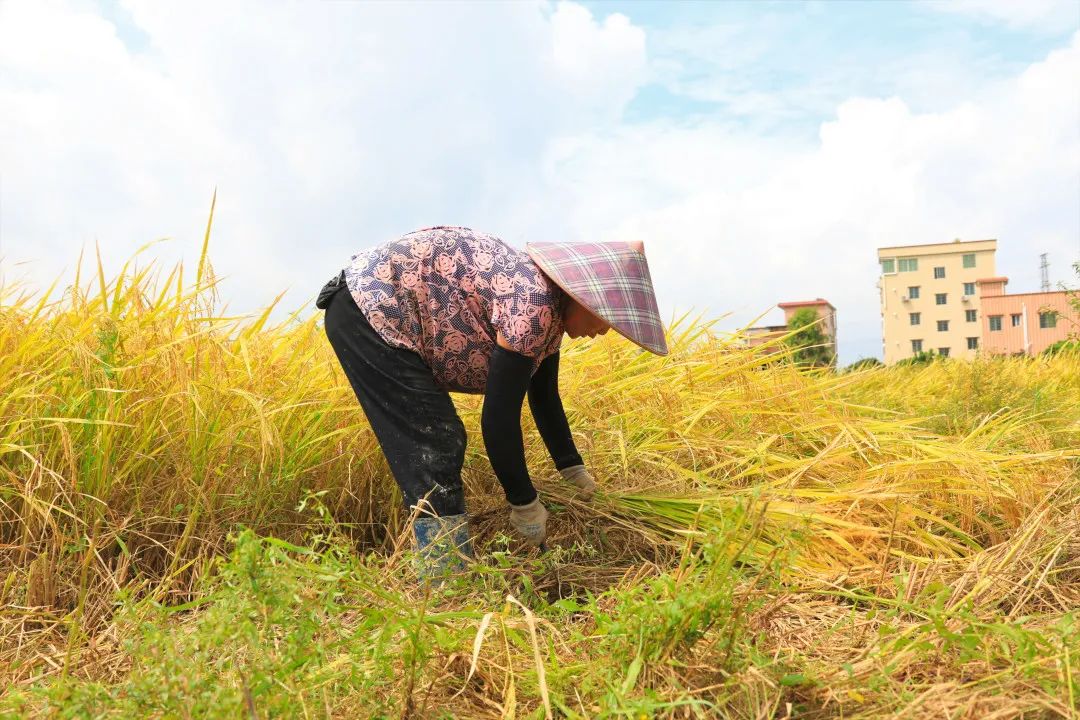 微信圖片_20210922102436.jpg 微信圖片_20210922102436.jpg